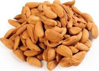 Quality And Sell Almond Nut