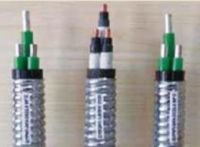 ESP Aluminum Alloy Cable