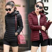 Winter New Women&#039;s Cotton Puffer Jacket Lightweight Cotton Clothing Slim Fit Hooded Puffer Jacket 