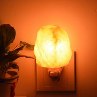 2019 Hot Himalayan salt Night Light Hand Caved Wall Night light Natural Shape