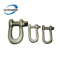 Steel Anchor Screw D Shackle From China