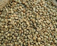 Robusta Coffee Beans 