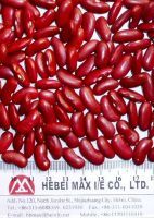 Best Dark Red Kidney Beans