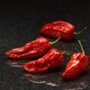 Best World's hottest chili pepper