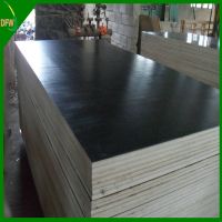 18mm Poplar Film Faced Plywood For