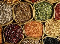 Sesame Seeds White, beans, soybean, sunflower seed, Mung beans, white corn, Pulses, Pea- Beans, Horse Beans, Chick Peas, Lentils, Coffee and other speciality crops
