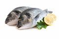 Fresh Fish
