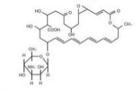 Natamycin