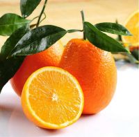 Fresh navel orange