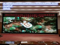 P1.875 High Defination Led Display