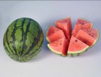 https://cn.tradekey.com/product_view/Chinese-Fresh-Fruit-Watermelon-Supplier-And-Exporter-9226490.html