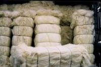 Raw Cotton and Yarn Cotton Waste