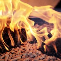 Wood Pellet