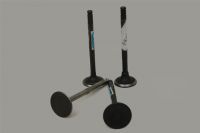 Engine Valve