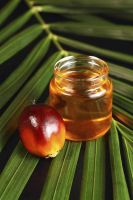 Refined Palm Oil 