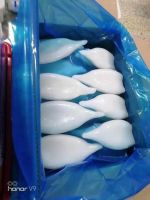 squid tubes