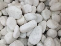 White Pebbles