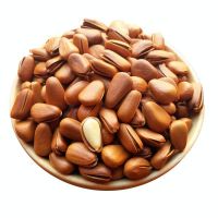 factory direct selling natural opened pine nuts with shell 