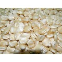 Best Grade White Corn Maize For Animal Feed White Maize Corn 