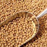 High Protein Quality Soybean Meal For Sale