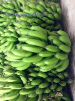 Fresh Green Banana