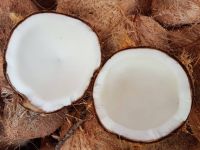 Vietnam Fresh Mature Coconut