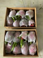 Vietnam Fresh Dragon Fruit (white Flesh)