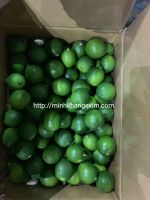 Fresh Seedless Lime// Vietnam