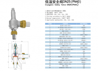 cryogenic safety valve DN25(PN40)