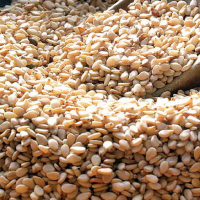 sesame seeds 