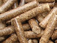 Wood Pellet Machine