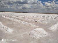 Salt