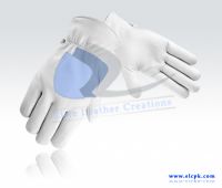 Assembly Glove