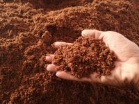 Vietnam Coco peat