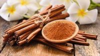 SPLIT CASSIA/ CINNAMON FROM VIETNAM