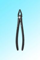 æ��ç��é�³ï¼�æ­&p