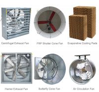Layers house Hen house Broiler chicks house ventilation fan From China