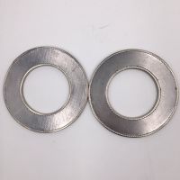 Reinforced Graphite Gasket