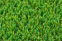 Artificial grass/Synthetic turf/Backyard lawn/Garden grass