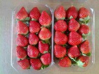 Fresh Strawberry