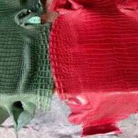 Genuine Leather of Croco