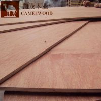 Sanding - Bintangor Plywood