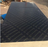 Film Faced plywood