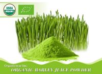 Organic Barley Grass Juice Powder From China