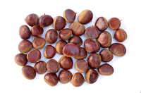 Chinese chestnuts