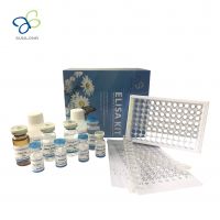 Human Fibroblast growth factor receptor 1, FGFR1 Elisa Kit (E0912Hu)