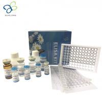 Rat Interleukin-1 beta, Il1b Elisa Kit (E0512Ra)