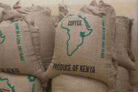 High Quality Arabica Green Coffee Beans Grade A