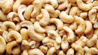 Raw  Cashew Nuts and Processed Cashew Nuts