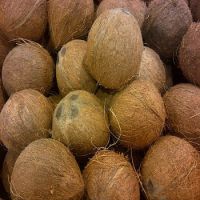 Fresh Deshusked,Semi Husked Coconut